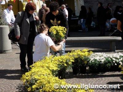 La Rusticata: torna la festa del fiore e del vivaismo in Maremma