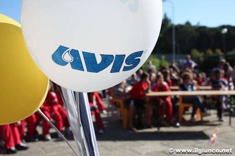 Servizio civile: tra Massa e Grosseto l’Avis cerca 4 giovani. Un anno tra formazione e volontariato