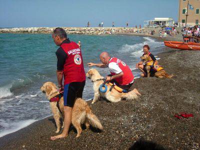 Terranova e Labrador, ecco i nuovi cani bagnino della Maremma