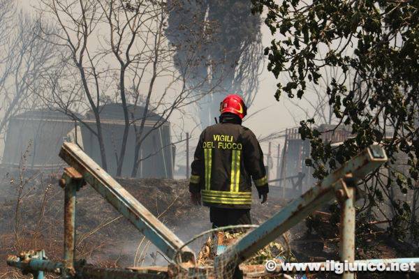 FLASH – Incendio vicino alla pineta: a fuoco alcune baracche