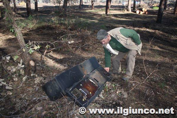 Pineta, rifugio dei ladri: tra i pini tagliati sbuca una macchinetta “cambiasoldi”