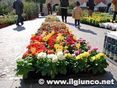 La “Primavera per la vita” torna con la dodicesima edizione. Un fiore per la prevenzione