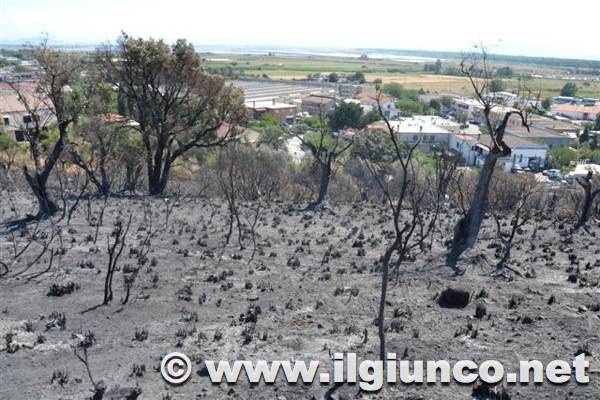 incendio_cast_distruzione_agosto_2013_6mod