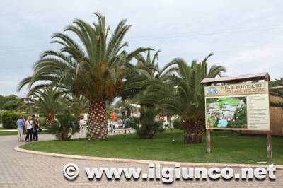 Più “Alegria” nella movida di Follonica. All’Acqua Village nasce il nuovo disco bar