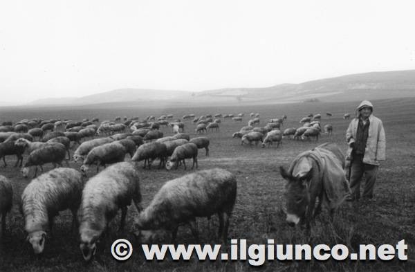 Dieci studenti dei licei Chelli in cammino verso Santiago