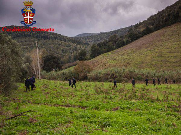 Omicidio di Francesca: maxi operazione di ricerca. 30 uomini e 5 cani battono la campagna