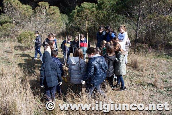 Maremma, madre di biodiversità: dal Falco pescatore alla nidificazione della Caretta Caretta