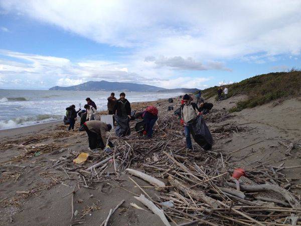 Spiaggia sporca, Paffetti: Pulizia al via. Legambiente: Non abbiamo bocciato Fertilia e Scarlino