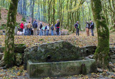 Alla scoperta delle riserve naturali dell’Amiata: domani si parte col Monte Penna