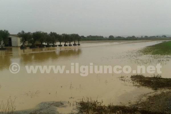 Alluvione, sotto l’albero arrivano i contributi per le famiglie. Rossi: «Impegno rispettato»