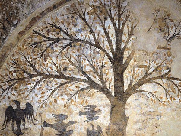 Arte oscena nel medioevo: il singolare “albero dei peni” di Massa Marittima