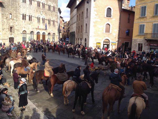 sant'antonio massa benedizione animali