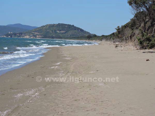 Turismo, Pd: «Stagione iniziata ma le spiagge non sono state pulite»