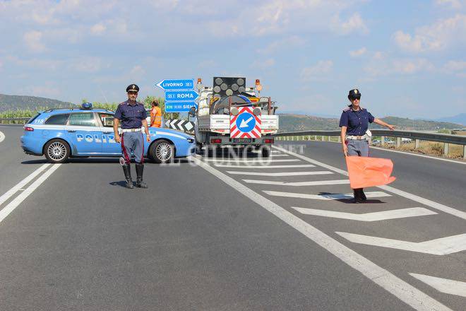 Gabbiano ferito in mezzo alla strada: salvataggio della Polizia che ripristina la circolazione