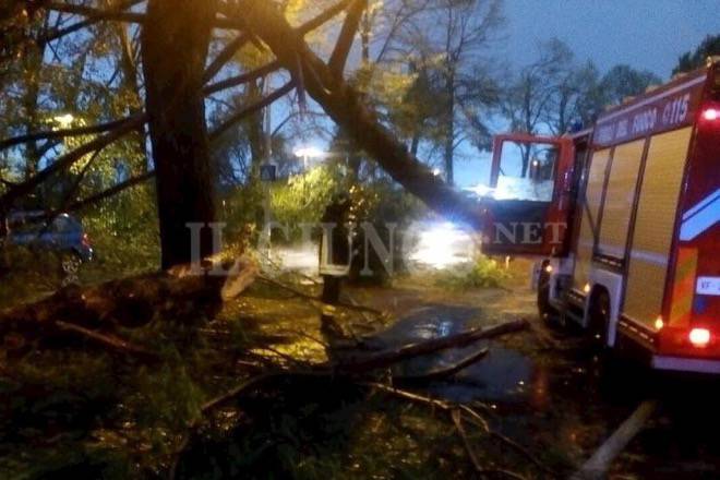 Albero cade sui cavi elettrici e fa crollare un muro sulla strada