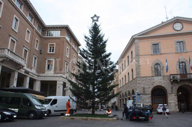 Albero Natale 2015