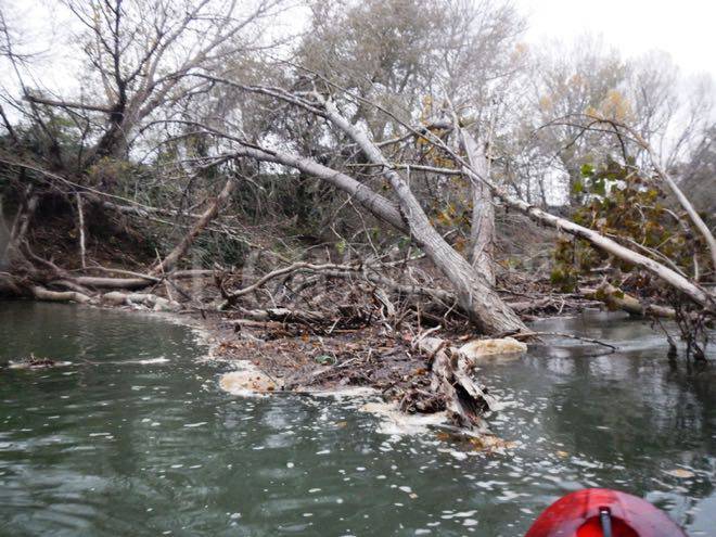 Ombrone a rischio esondazione