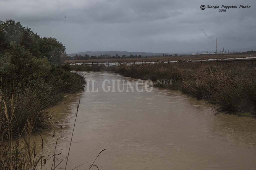 Maltempo a Scarlino fiumi in piena allagamenti