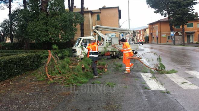 Maltempo: il vento fa ancora danni. Cade un grosso ramo sulla strada