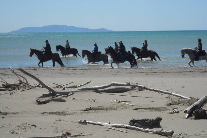 Oltre il mare: a Castiglione della Pescaia si guarda al turismo equestre