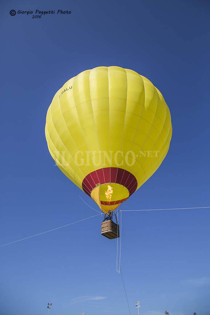 In volo sul Parco Centrale