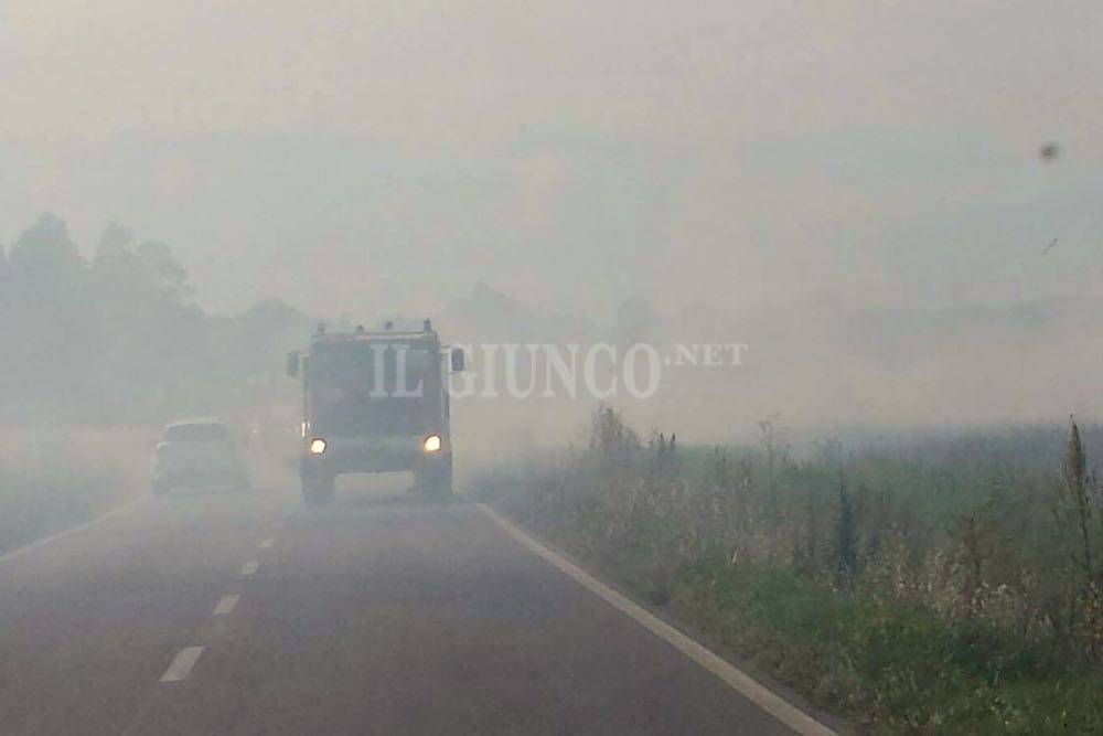 Fiamme al Casone: in azione i Vigili del Fuoco. Fumo sulla strada