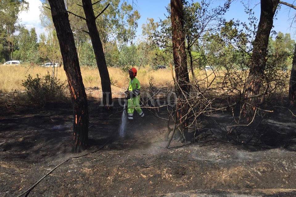 Incendio 7 luglio Vigili fuoco