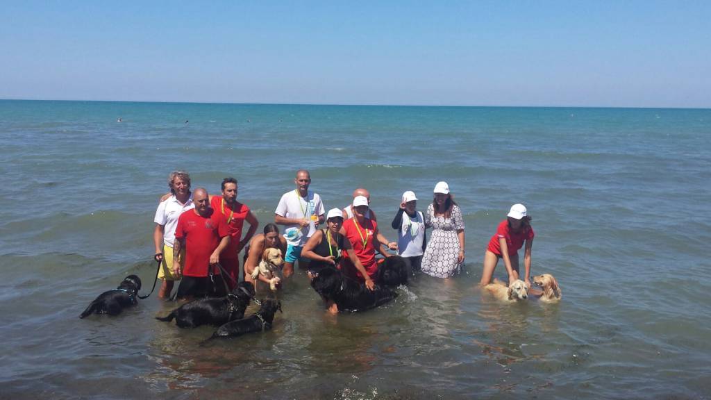 Bagnini a quattro zampe: mare più sicuro con i cani “salvavita”