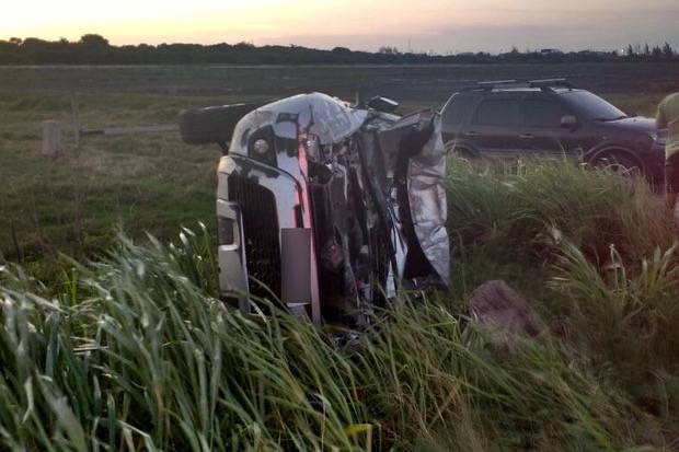 Maremmano muore in Brasile nello scontro con un’auto rubata