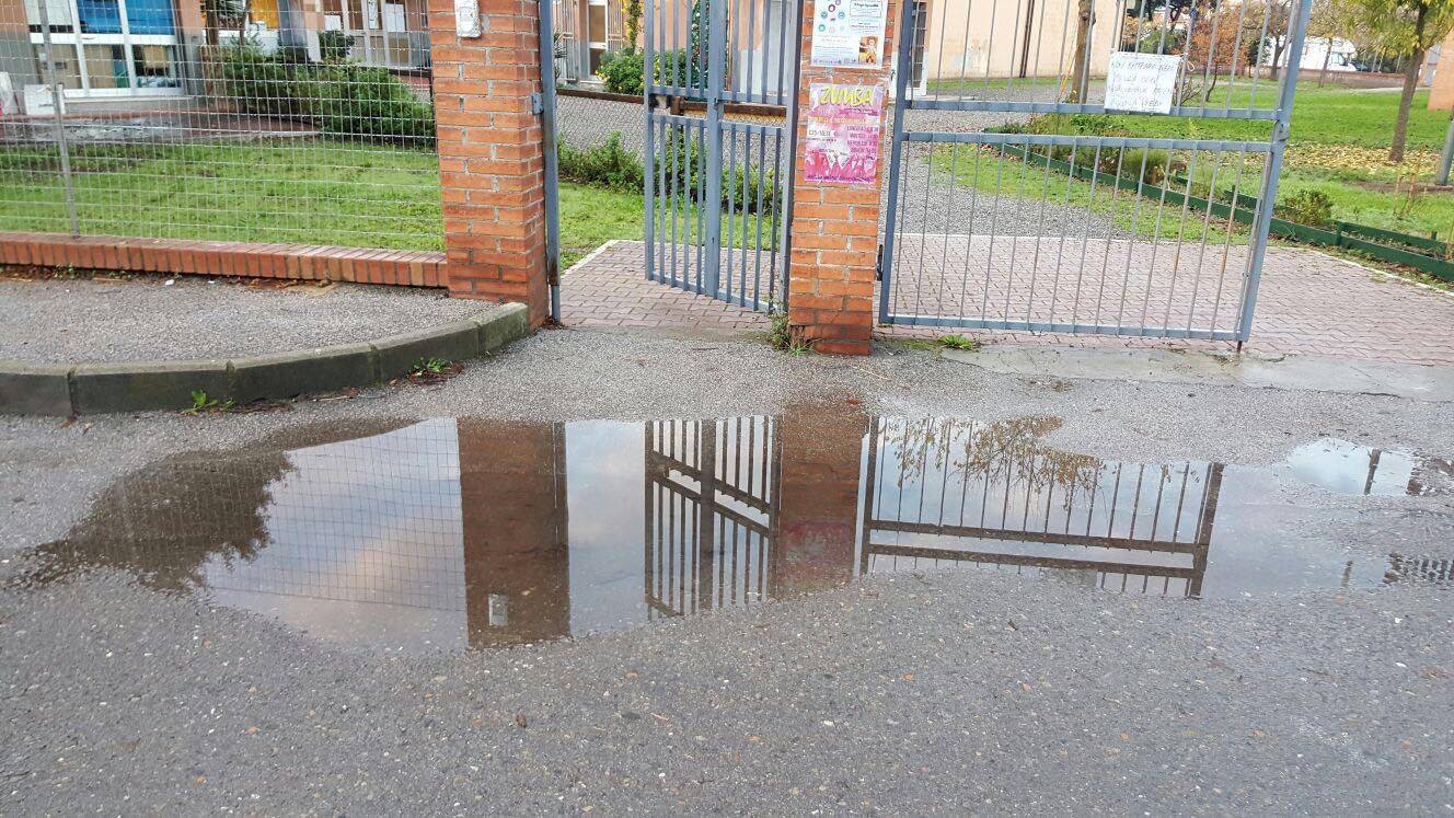 Scuola, Pecorini risponde a Marrini «Solleva solo problemi già risolti: la campagna elettorale è finita»