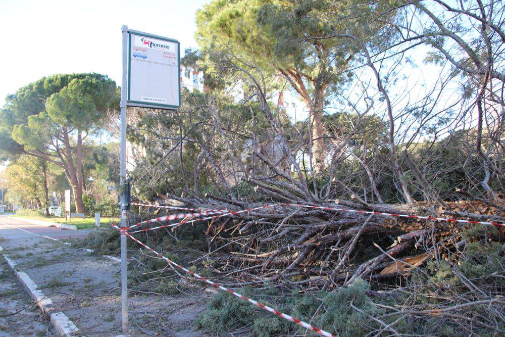 Vento forte anche domani. L’allerta meteo prosegue e rimane arancione