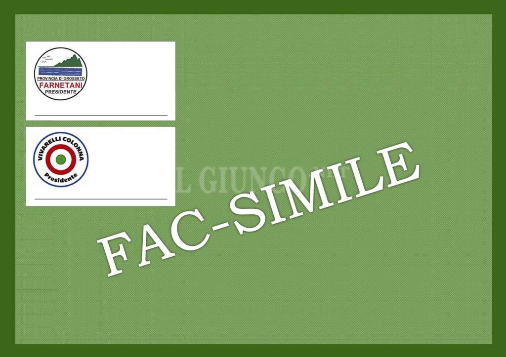 #ElezioniProvincia17: i fac simile delle schede