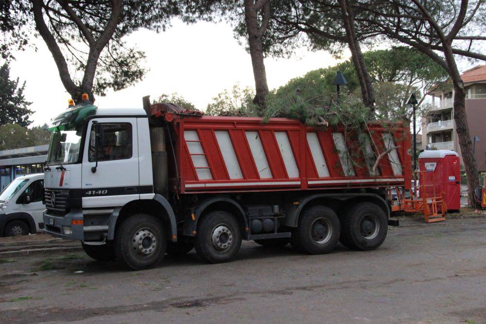 Pini tagliati zona stadio 2017