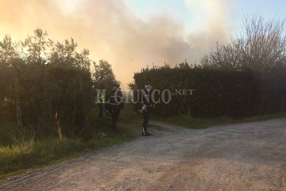 Incendio orto scansanese vvf