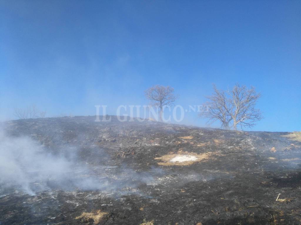 Brucia anche l’Amiata: due incendi in corso