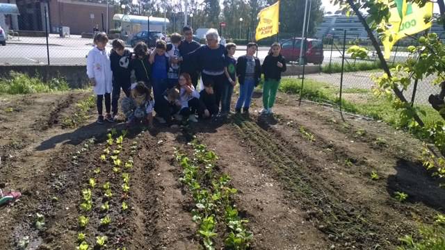 “Coltiviamo il digitale”: 250 bambini si avvicinano all’ambiente e ai prodotti locali