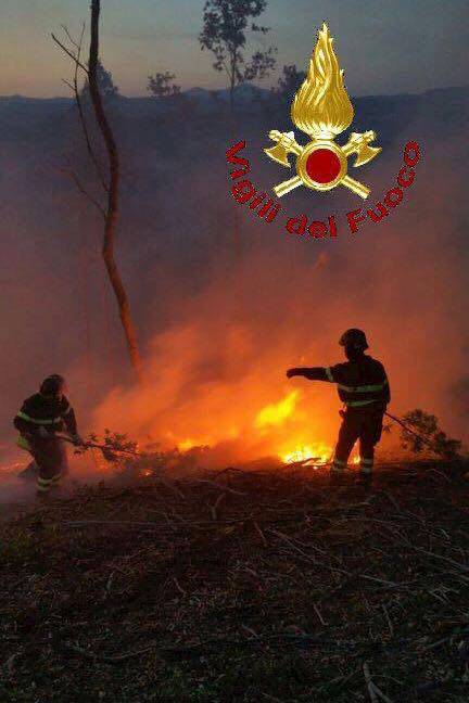 Incendio San martino sul Fiora