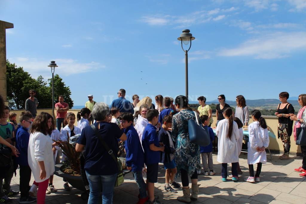 Scuola primaria Campiglia Marittima