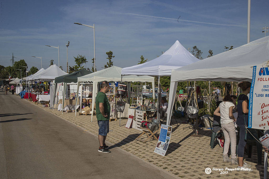 Festa delle non diversità 2017