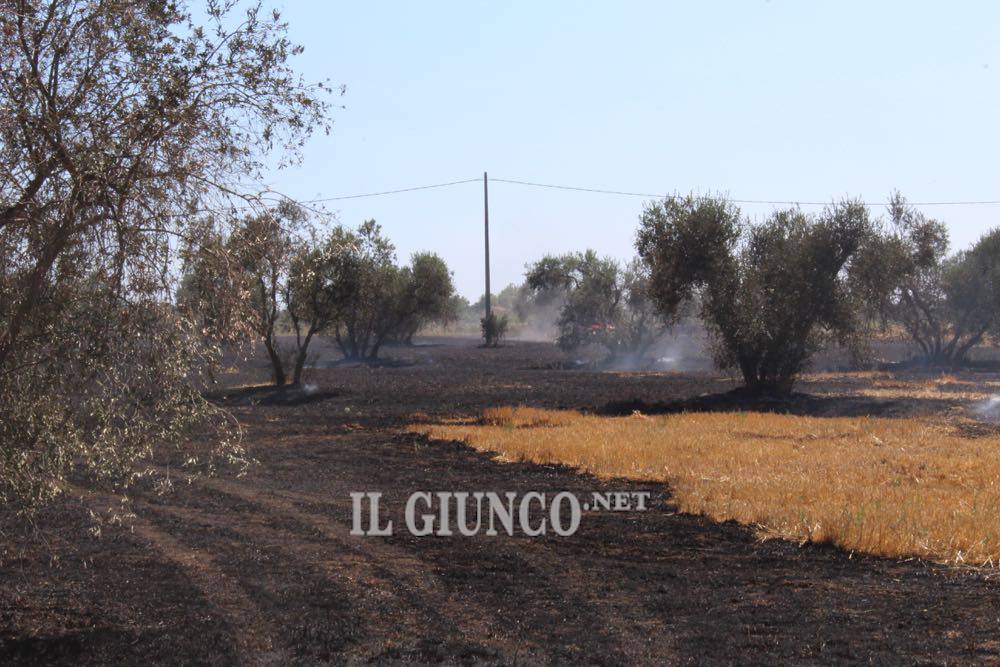 Incendio 21 giugno 2017