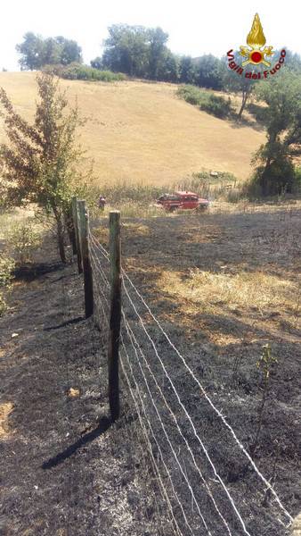 Incendio Manciano 13 giugno 2017