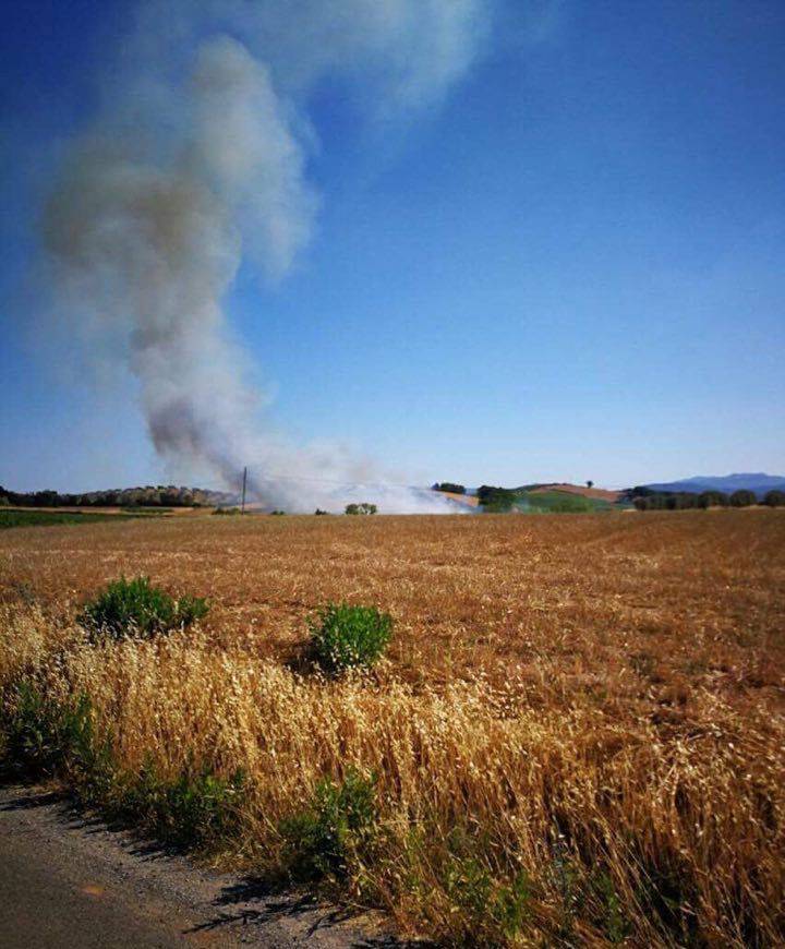 Un campo prende fuoco, l’incendio cresce e ora minaccia le case: quattro squadre di vigili del fuoco in azione