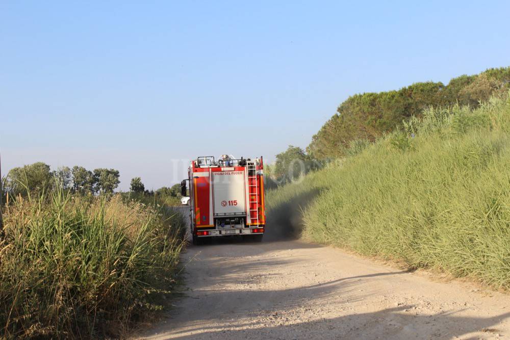 Incendio vvf vegetazione Vigili del fuoco generica