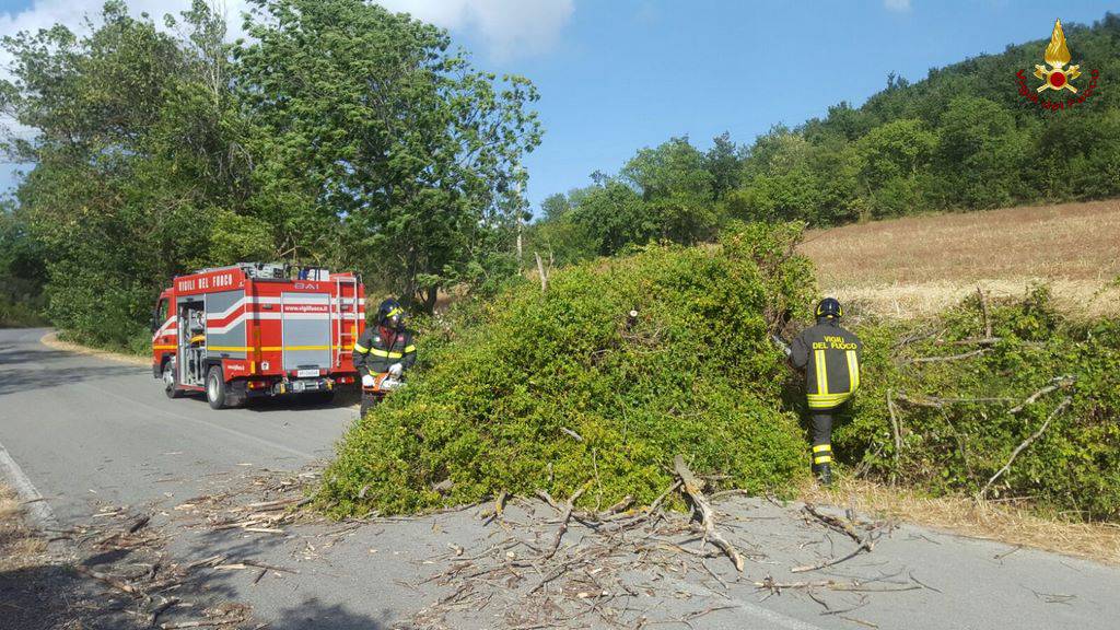 Allerta meteo, codice giallo per vento in tutta la giornata di lunedì