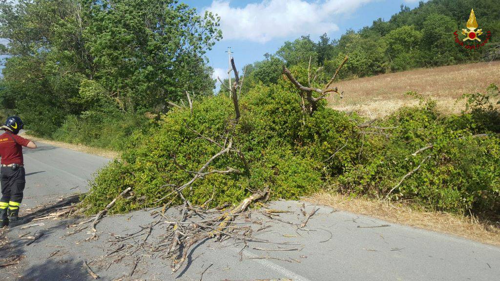 Maltempo, vento forte sulla costa e nell’interno: lunedì allerta meteo