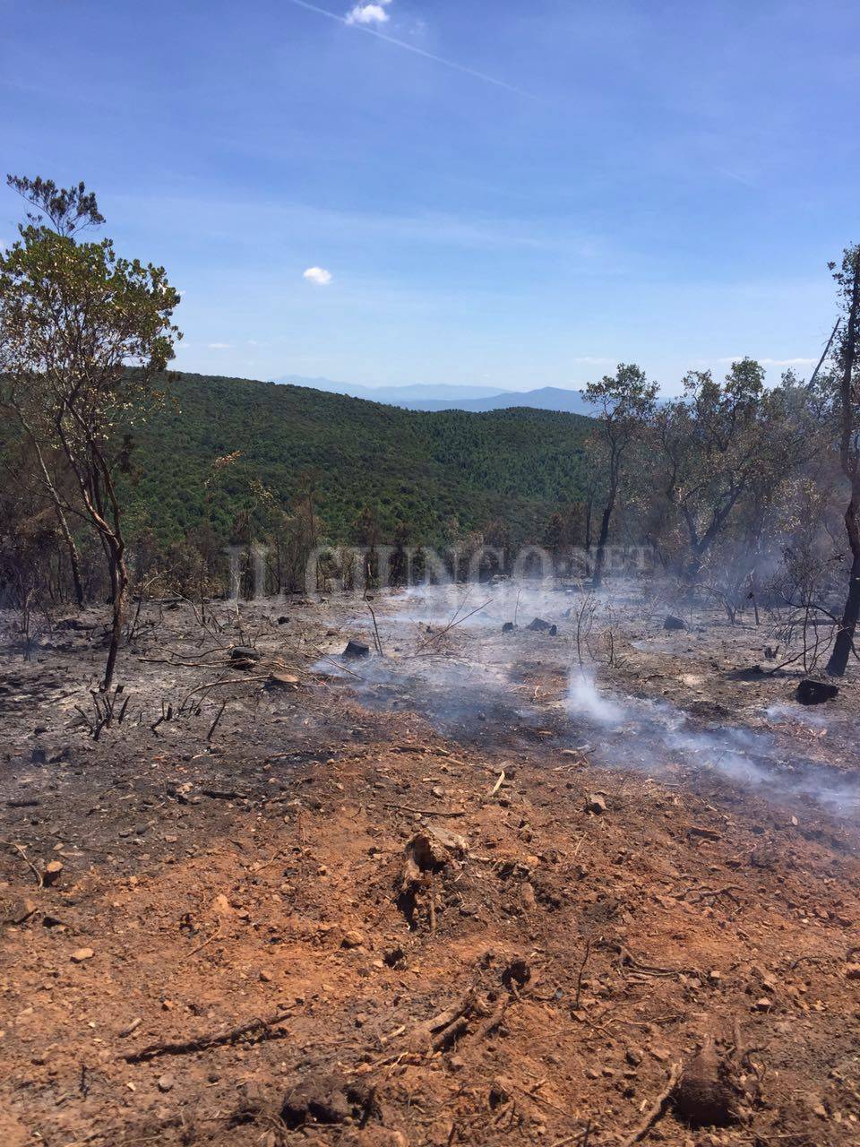 Vab spegne un incendio