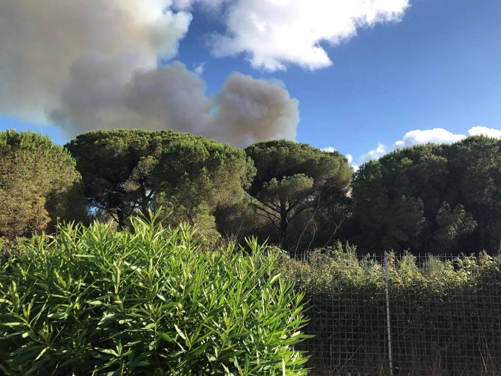 Incendio Roccamare (visto dal lato strada)