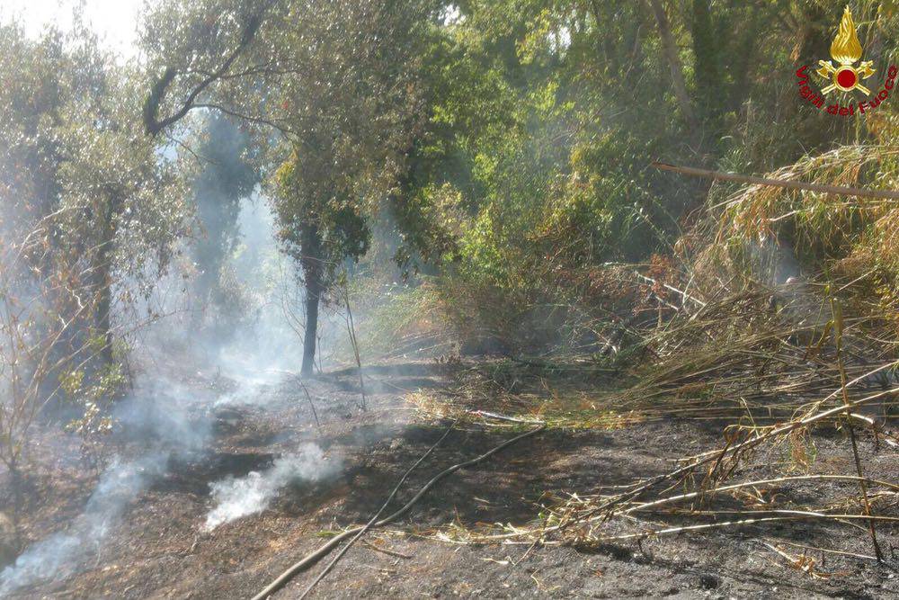 Bruciato bosco e vegetazione: tre automezzi al lavoro