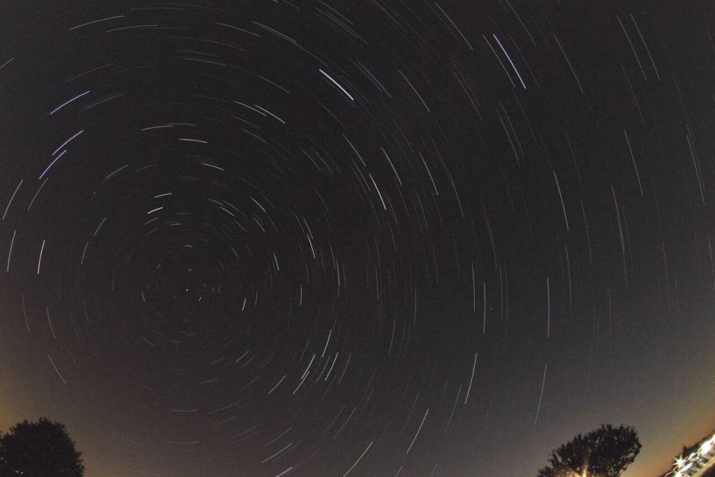 Notte magica al Parco faunistico dell’Amiata alla scoperta degli animali e delle stelle