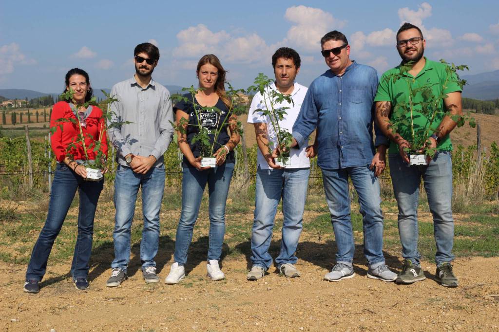 Ecco Sfera, la serra ecosostenibile più grande d’Italia. Prime collaborazioni sul territorio